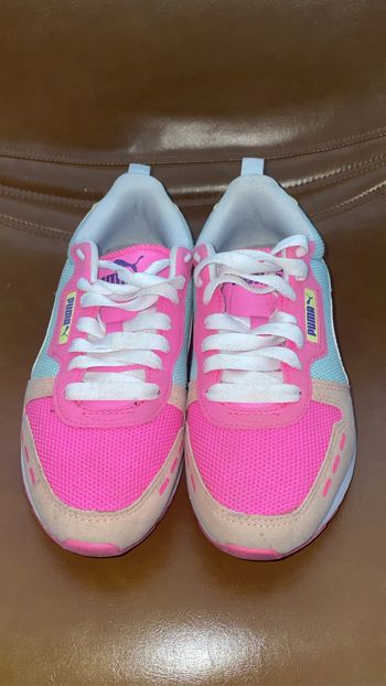 Puma rose
