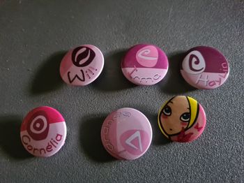 6 Badges . Broches. 2 cm. Witch