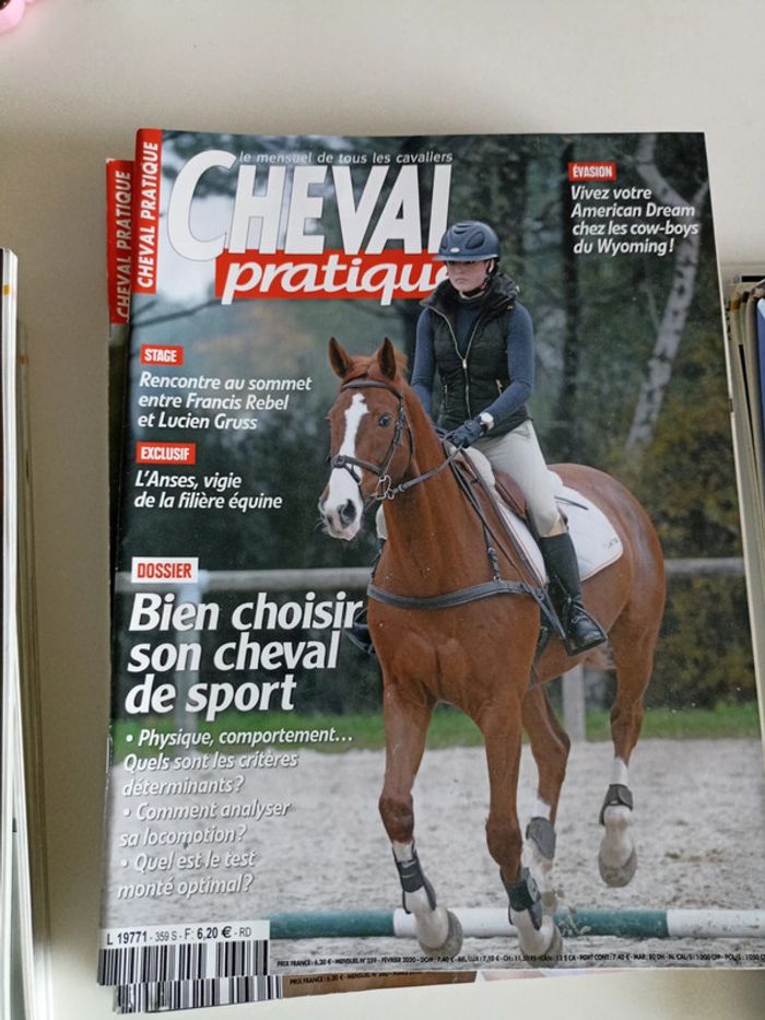 Cheval pratique - photo numéro 4