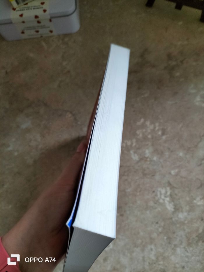 Livre 🧡 Journal d un dégonflé - Carnet de bord de greg - photo numéro 5