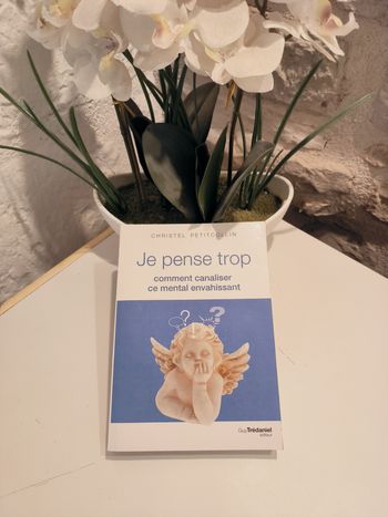 livre Je Pense Trop - Comment Canaliser Ce Mental Envahissant - Petitcollin tbe
