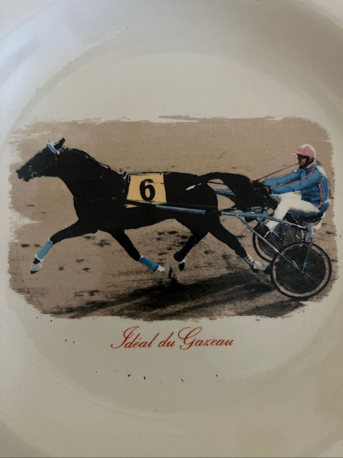 Belle assiette creuse de décoration-Idéal du Gazeau - photo numéro 4