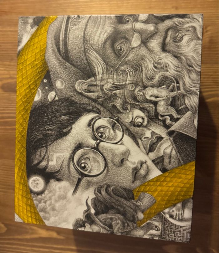 Coffret édition limitée Harry Potter - photo numéro 5