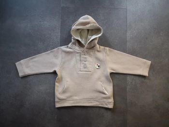 Pull / sweat à capuche Disney 2 ans