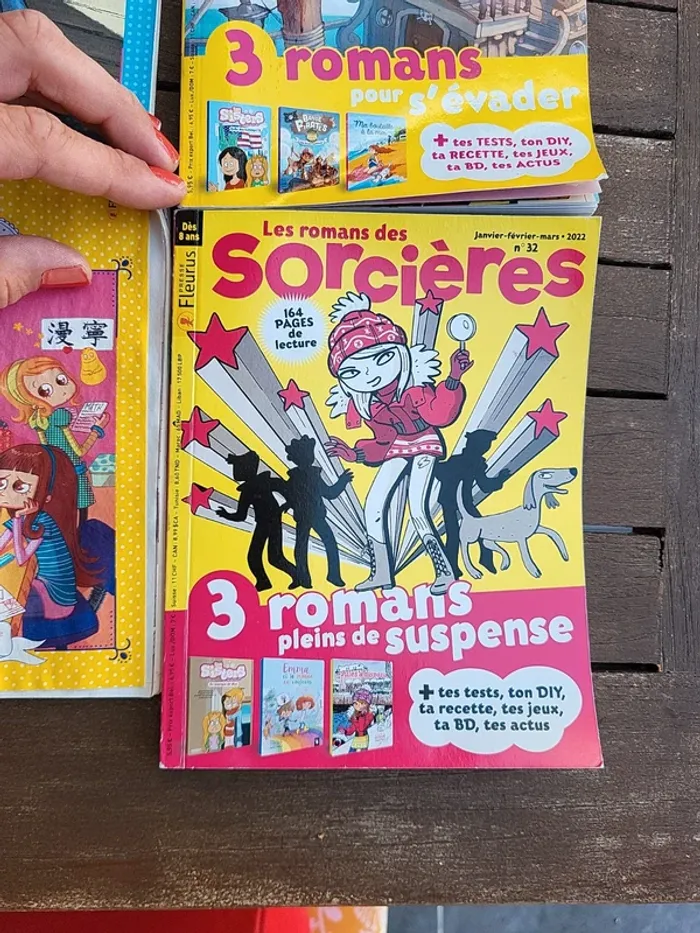 Les romans des sorcières. - photo numéro 6