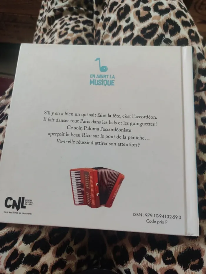 L'accordéon marchand de bonheur - photo numéro 2