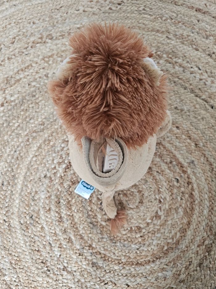 Louis Lion Smart Sensor - photo numéro 2