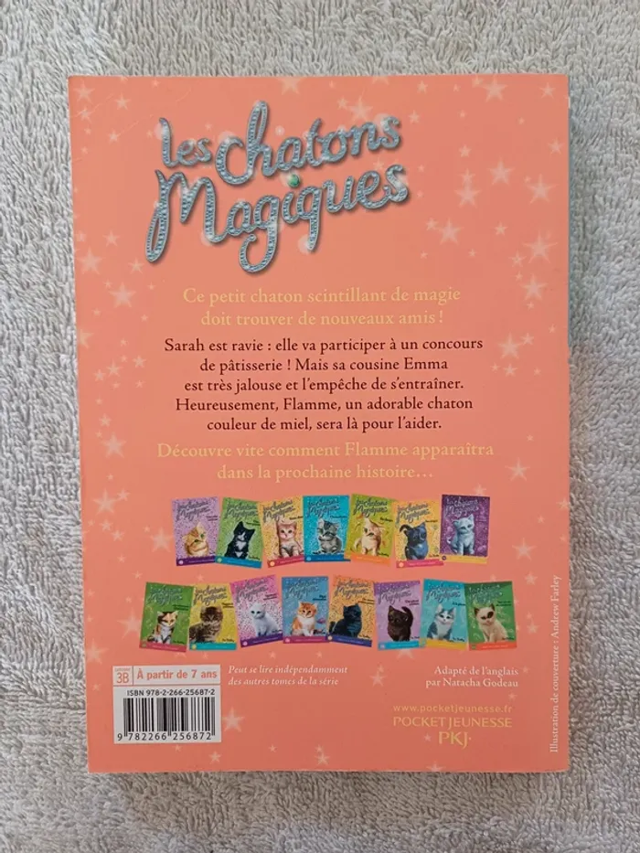 Livre Les Chatons magiques - le plus beau des gateaux (familleac72) - photo numéro 2