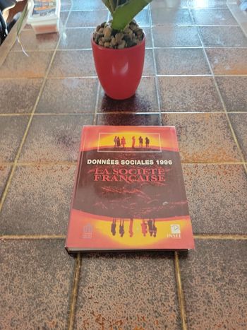 Données sociales 1996