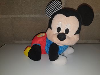 Mickey 4 pattes