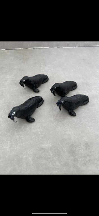 Lot de 4 phoques 🦭