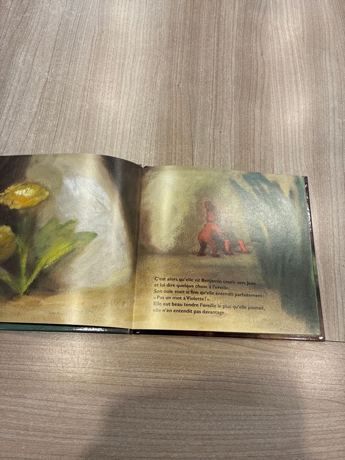 Livre - photo numéro 4