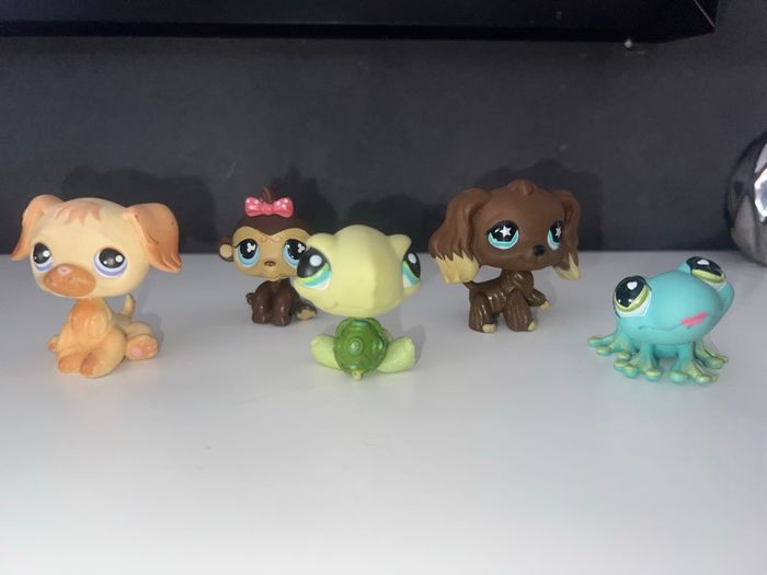 Lot petshop - photo numéro 2