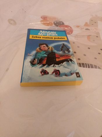 Zebra station polaire