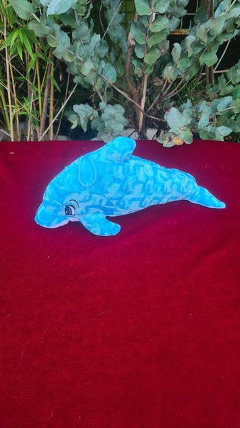 Superbe Dauphin en peluche