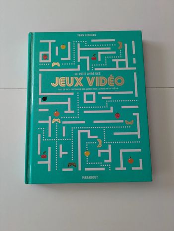 Le petit livre des jeux vidéo – Tout ce qu'il faut savoir des années 1950 à l’aube du XXIe siècle