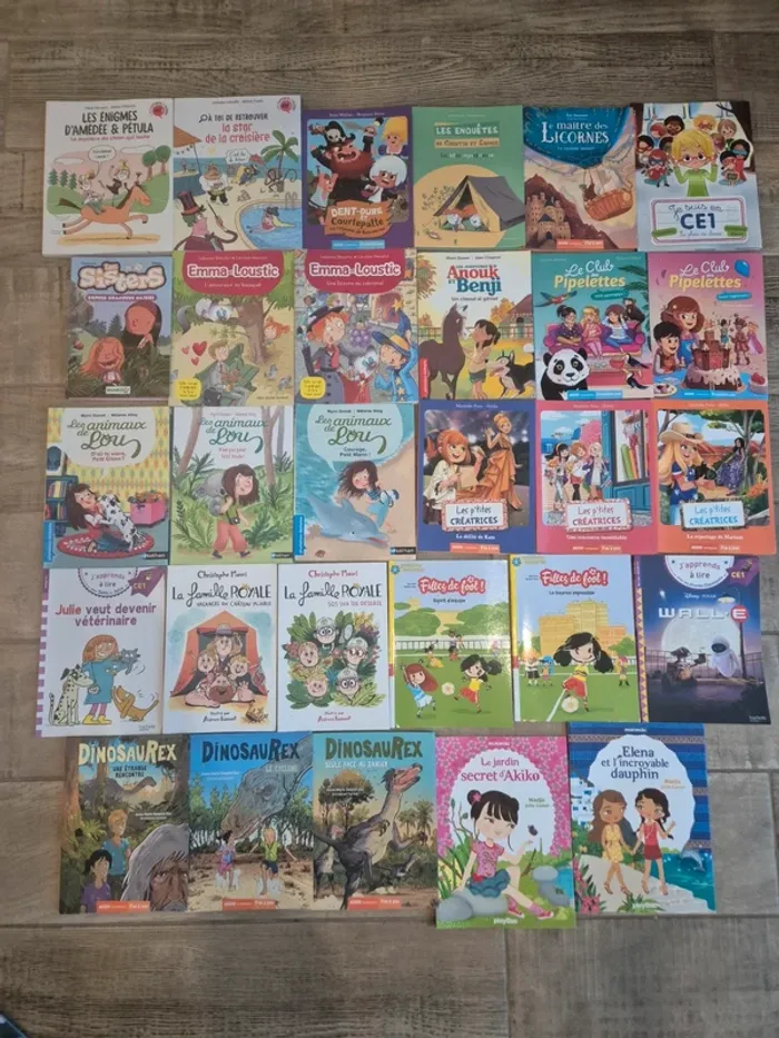 Lot de livres premiers romans CE1 - 2€ le livre