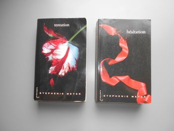 Livres: Tentation et Hésitation (Stephenie Meyer)