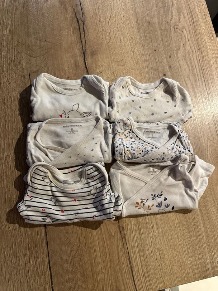 Lot de 6 bodies