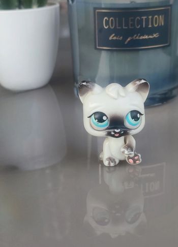 Littlest Pet Shop Siamese cat first generation