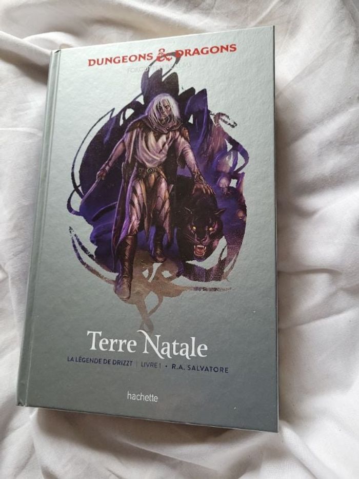 Dungeons et dragons terre natale