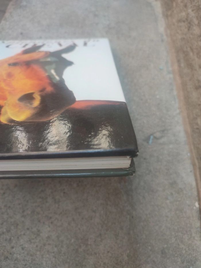 Livre la splendeurs du cheval - photo numéro 3