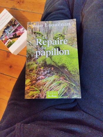 Le repaire du papillon