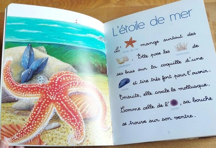 Livre enfant Les animaux de la mer 4-7 ans - photo numéro 3