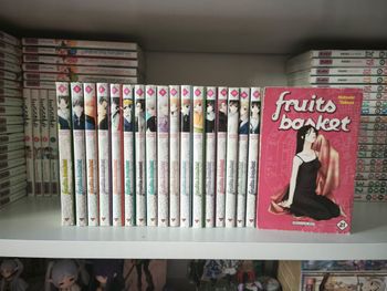 Fruits basket 1-17+21