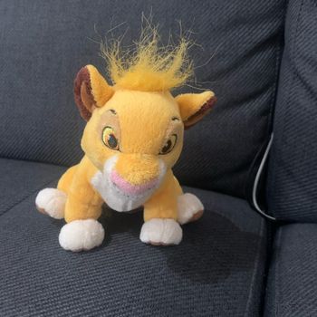 Roi lion