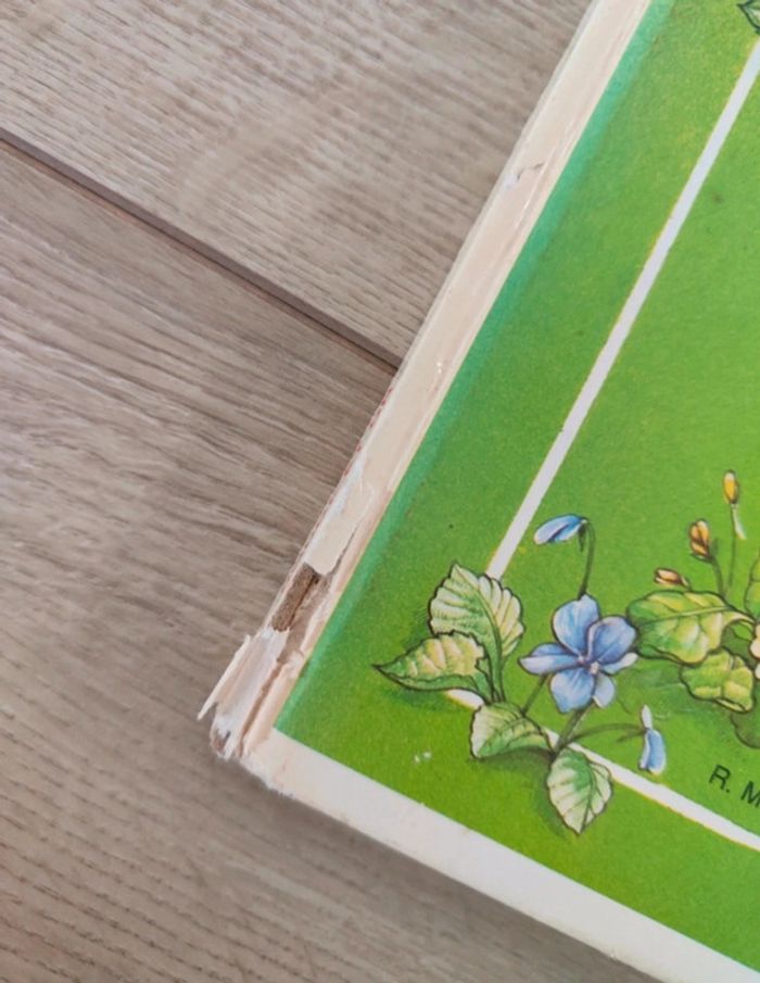 Livre (promenade à travers les saisons) - photo numéro 5