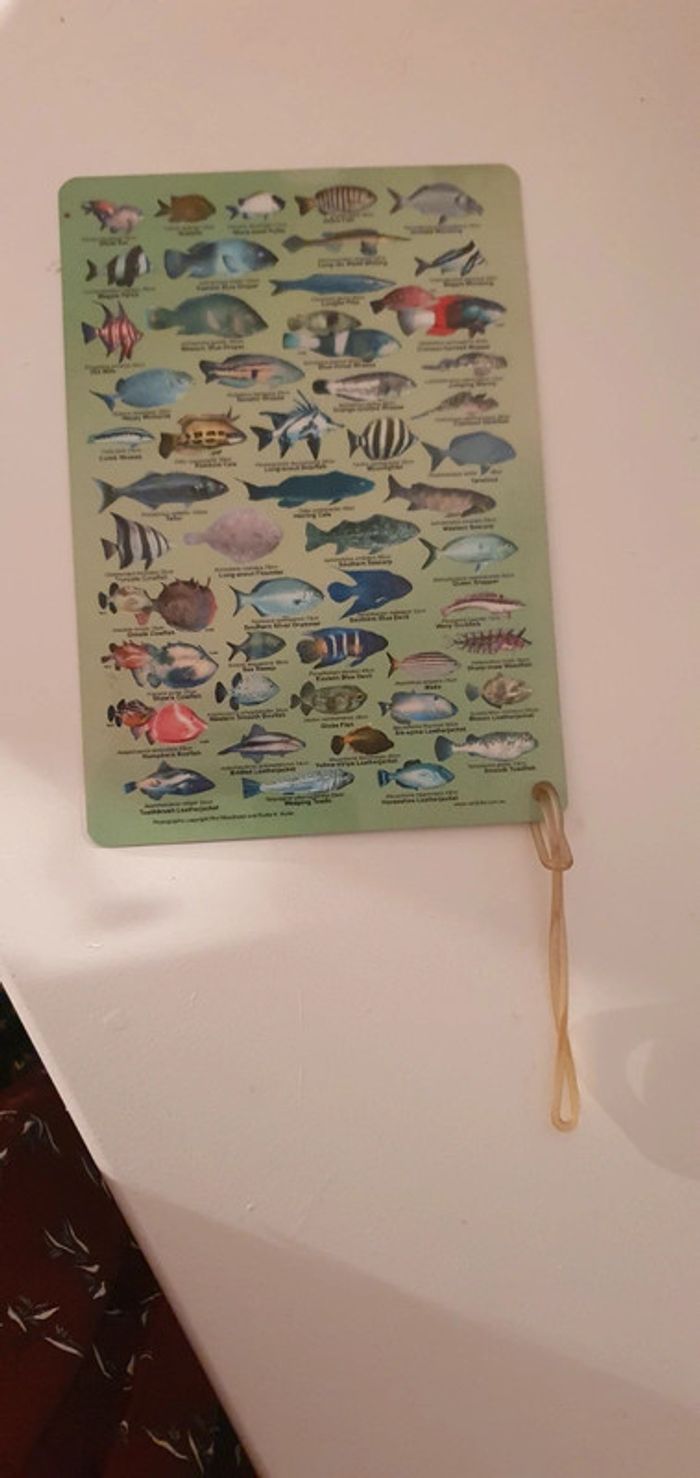 Carte Marine Plongée Australie - photo numéro 2
