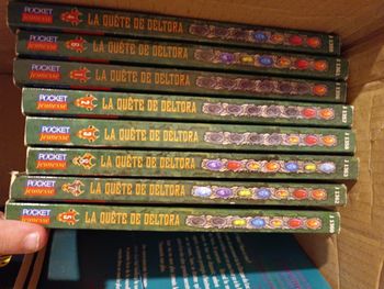 Cycle 1 la quête de Deltora