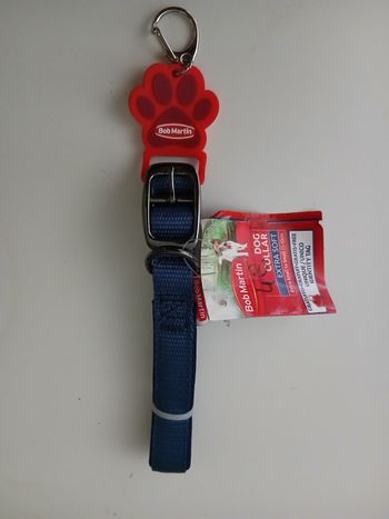 Collier bleu pour chien 