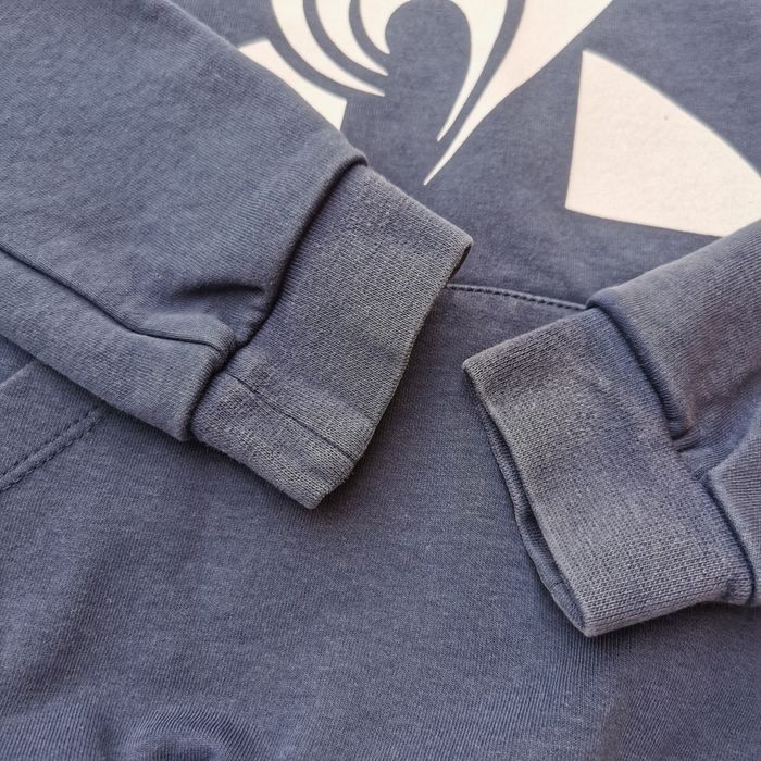 Pull sweat à capuche 10 ans garçon le coq sportif - photo numéro 4