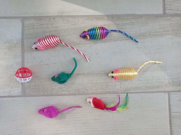 Lot de 7 jouets pour chat/chaton