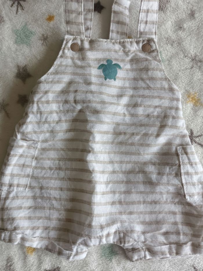 Ensemble rayé tortue - photo numéro 4