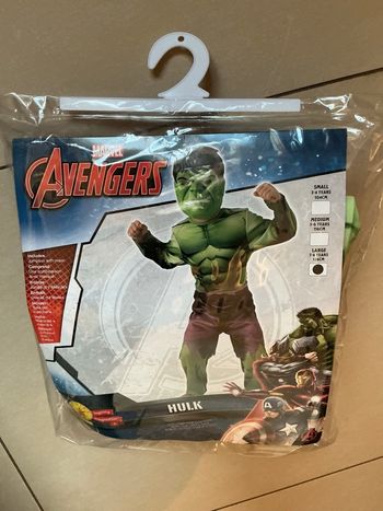 Déguisement HULK