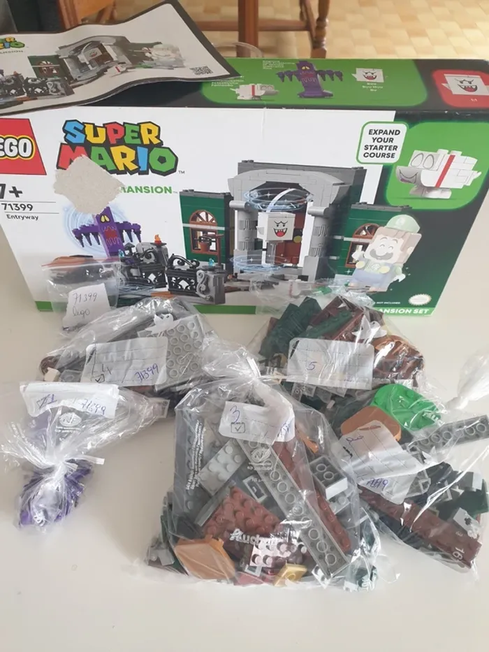 Lego Mario 71399 Entryway
