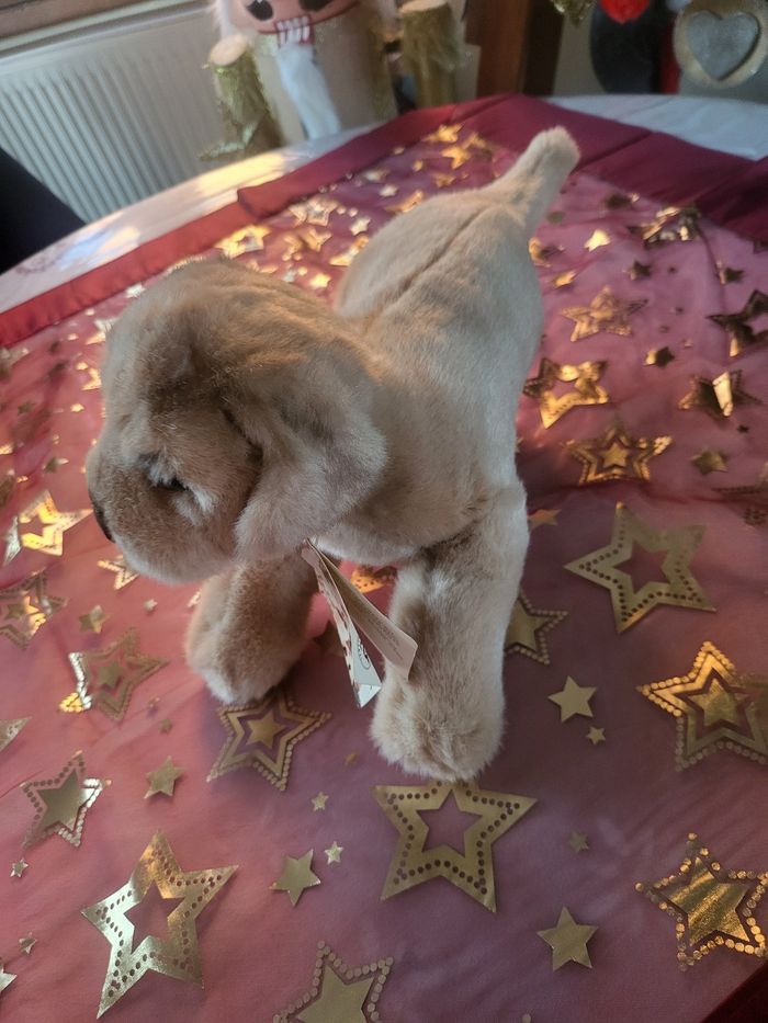 Peluche chien 🐕 - photo numéro 5