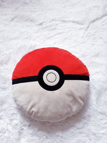 Coussin pokemon