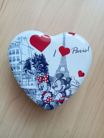Petite boîte Disney Minnie Disneyland