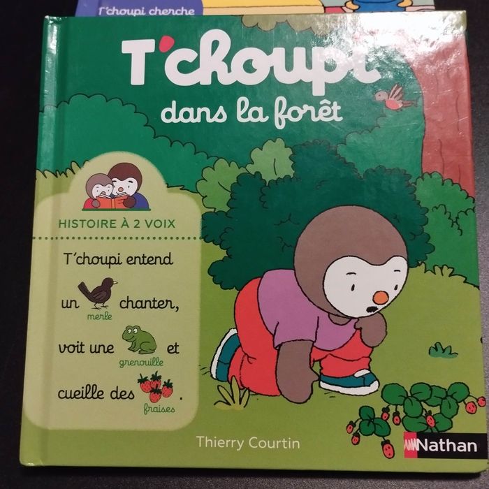 Livres Nathan enfants T'choupi une histoire a deux voix lot de 5 - photo numéro 3