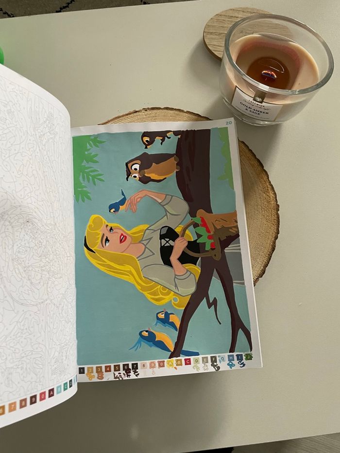 Coloriage mystère Disney - tome Nature - photo numéro 5