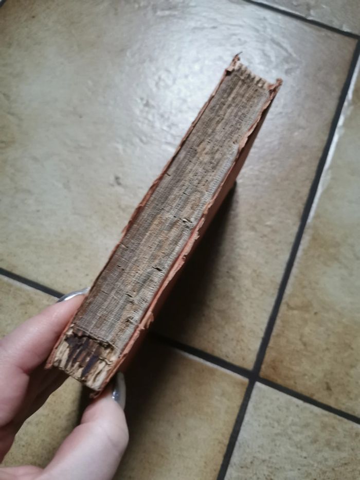 Dear enemy by Jean Webster, vieux livre Hodder and Stoughton, publishers London - photo numéro 8