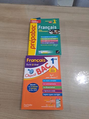 Lot livres bac français