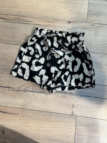 short léopard