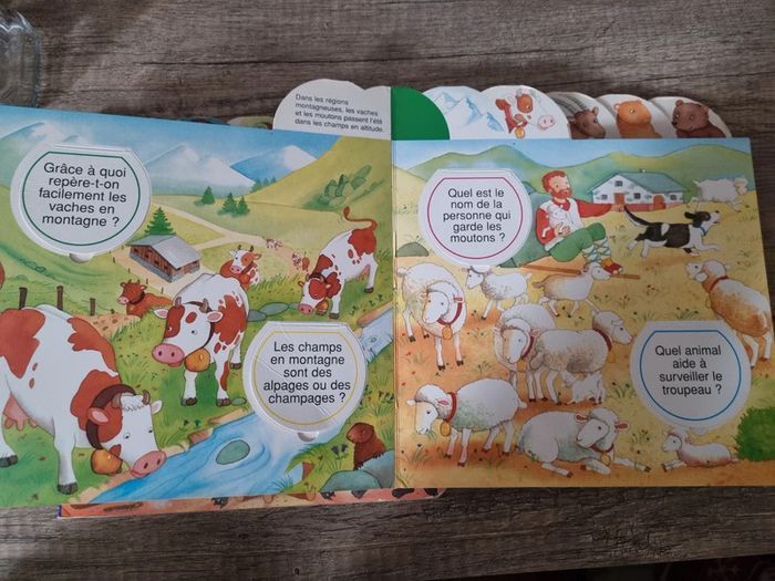 Lot de 2 livres découvertes - photo numéro 4