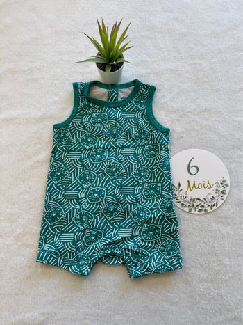 Combi short chaton verte
