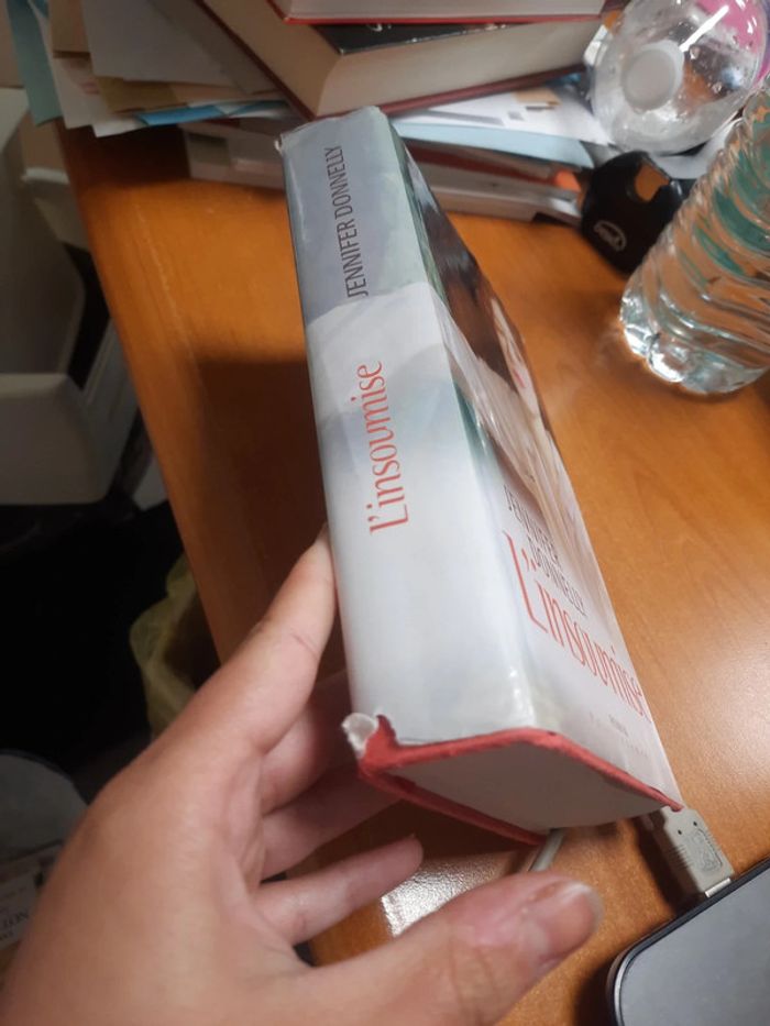 Roman passionnément l'insoumise - photo numéro 2